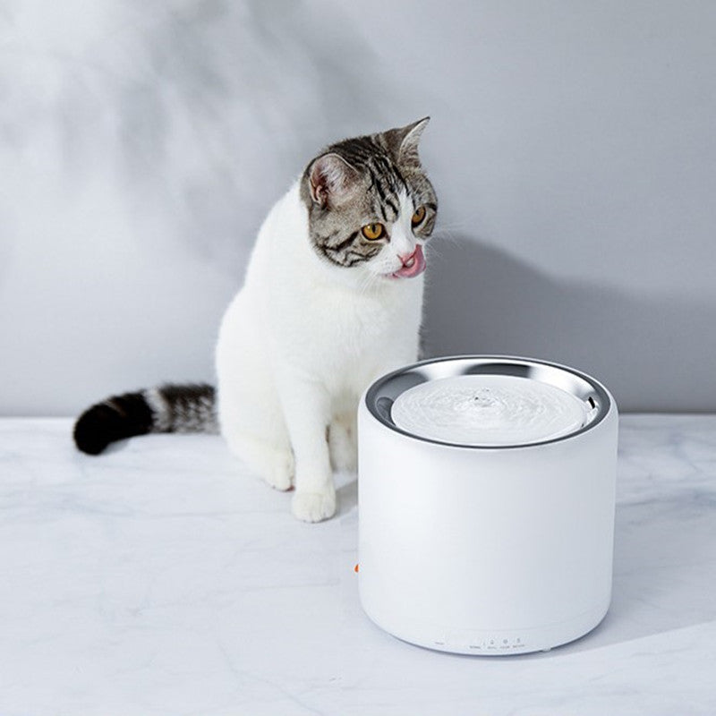 Catventure Water Dispenser – Stainless Steel with Filter