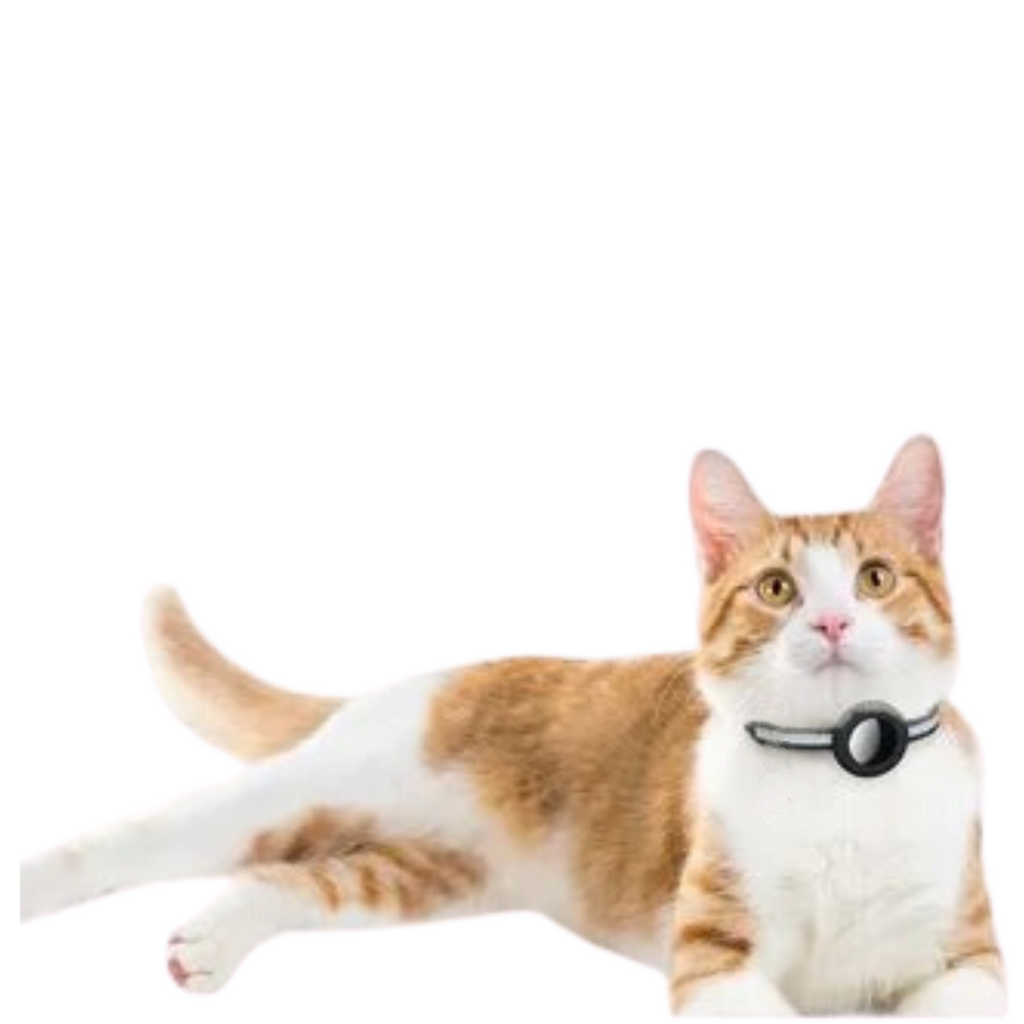 Catventure Airtag Protective Collar