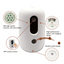 Catventure Intelligent Pet Automatic Quantitative Feeder