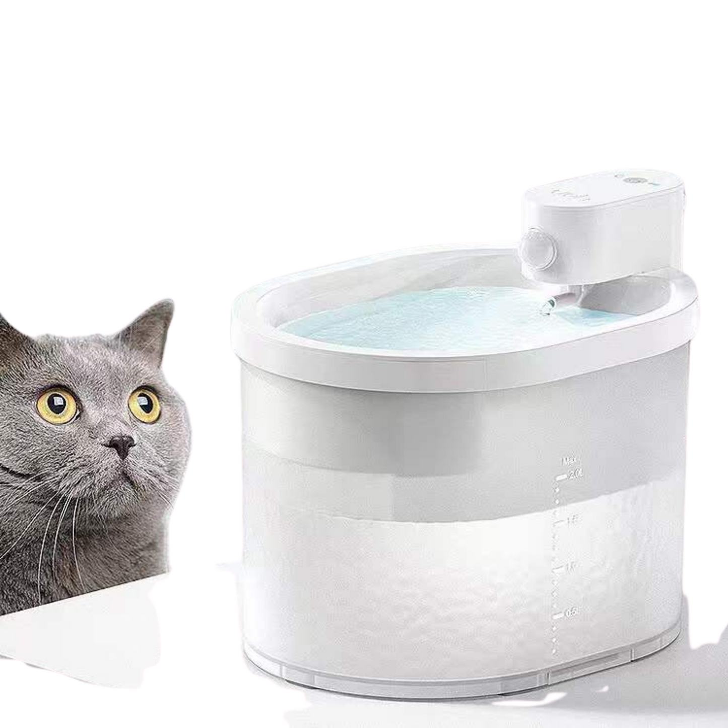 Catventure Automatic Water Dispenser