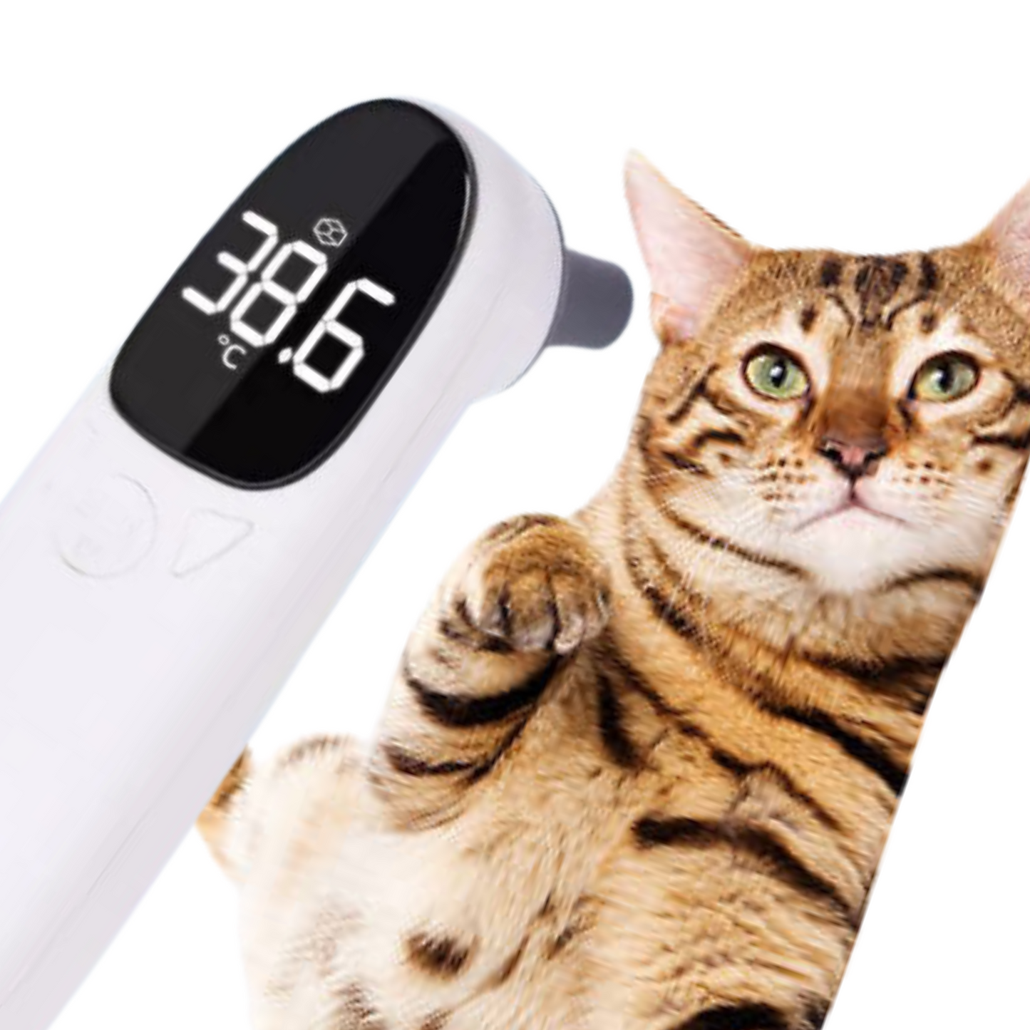 Catventure Precision Infrared Thermometer